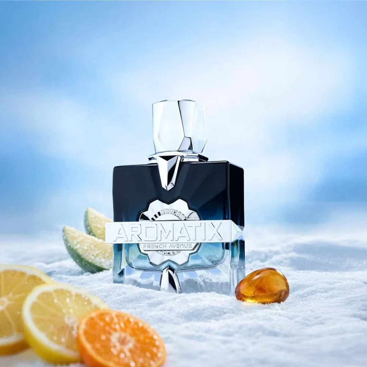 Aromatix Frostbite by French Avenue EDP - 100ml (SHIPPING STARTS 06/10)