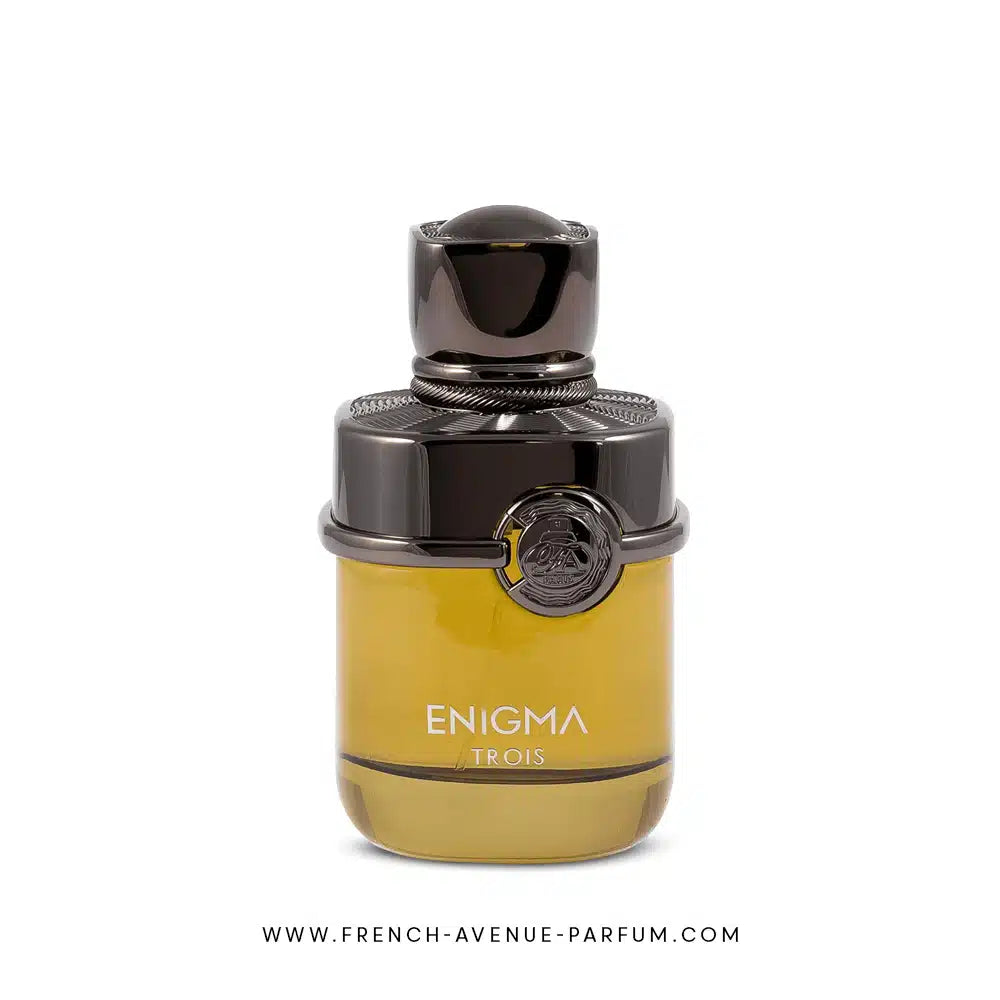 Enigma Trois 100ml by French Avenue